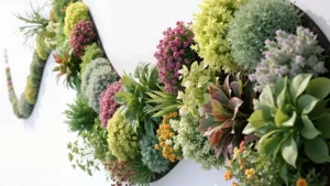 Villa landscaping plants ویرا طرح اسپرلوس